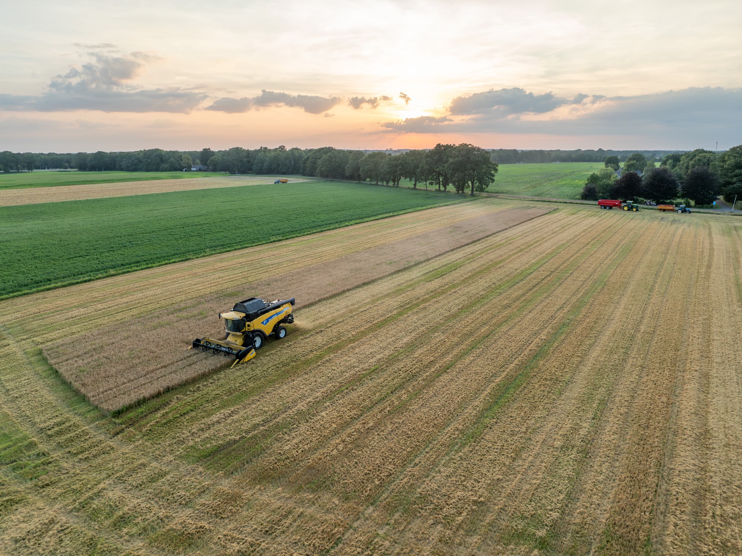 Combinen door loonbedrijf Prenger in Den Velde, gemeente Hardenberg (Ov.). Op veel plaatsen pakte de opbrengst van vooral de wintergranen lager uit vanwege veel regen bij de start en weinig zonuren in de bloeiperiode. – Foto: Michel Velderman