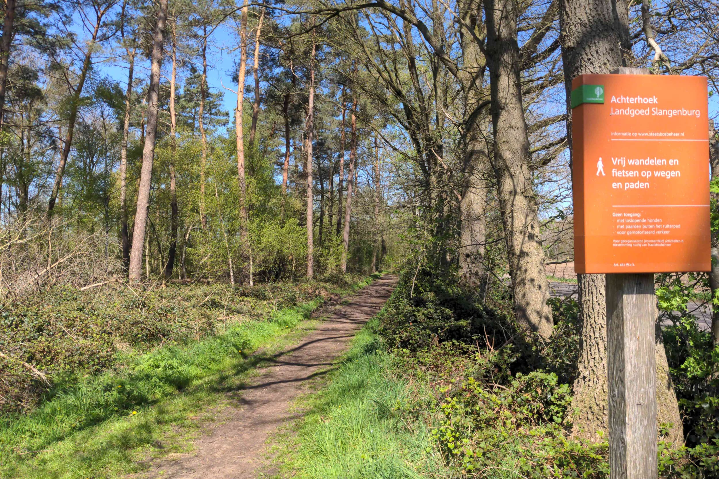Noord-Brabant heeft in 2021 en 2022 in totaal 297 hectare nieuw bos geplant. Op grote afstand gevolgd door de provincies Utrecht (71 hectare) en Gelderland (55 hectare). - Foto: Ed Asscheman