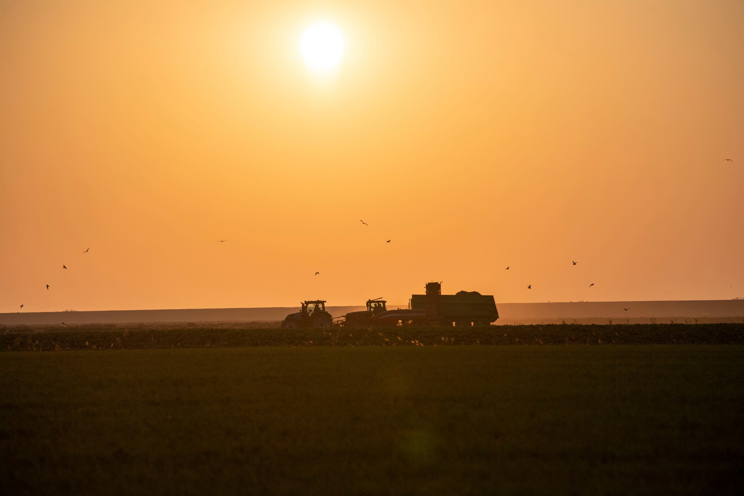 Agrarische grond is zeer gewild en krijgt van de NVM een verkoopbaarheidsscore van 9,0, wat 0,2 punten hoger is dan in de tweede helft van vorig jaar. – Foto: Mark Pasveer