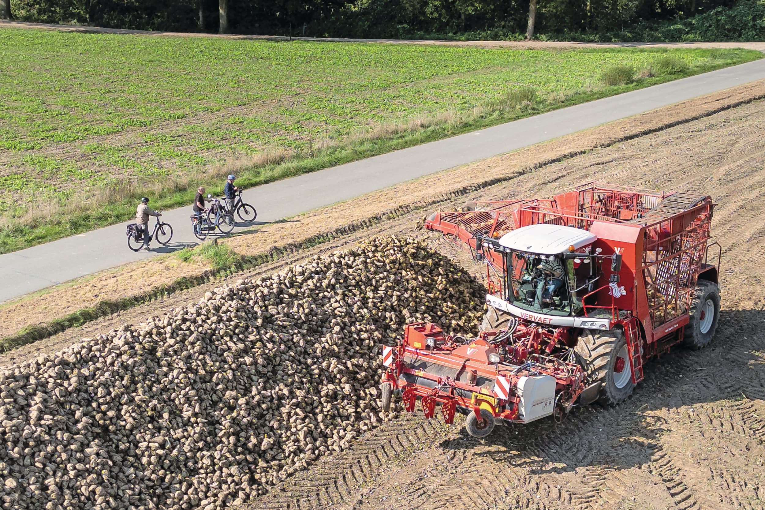 Bij Hoog- Keppel (Gld.) oogst Landbouw- en loonbedrijf Gebroeders Eugelink een van de eerste percelen suikerbieten. De bieten worden op een smalle hoop gelegd om ze met de bietenmuis te kunnen laden. – Foto: Koos Groenewold