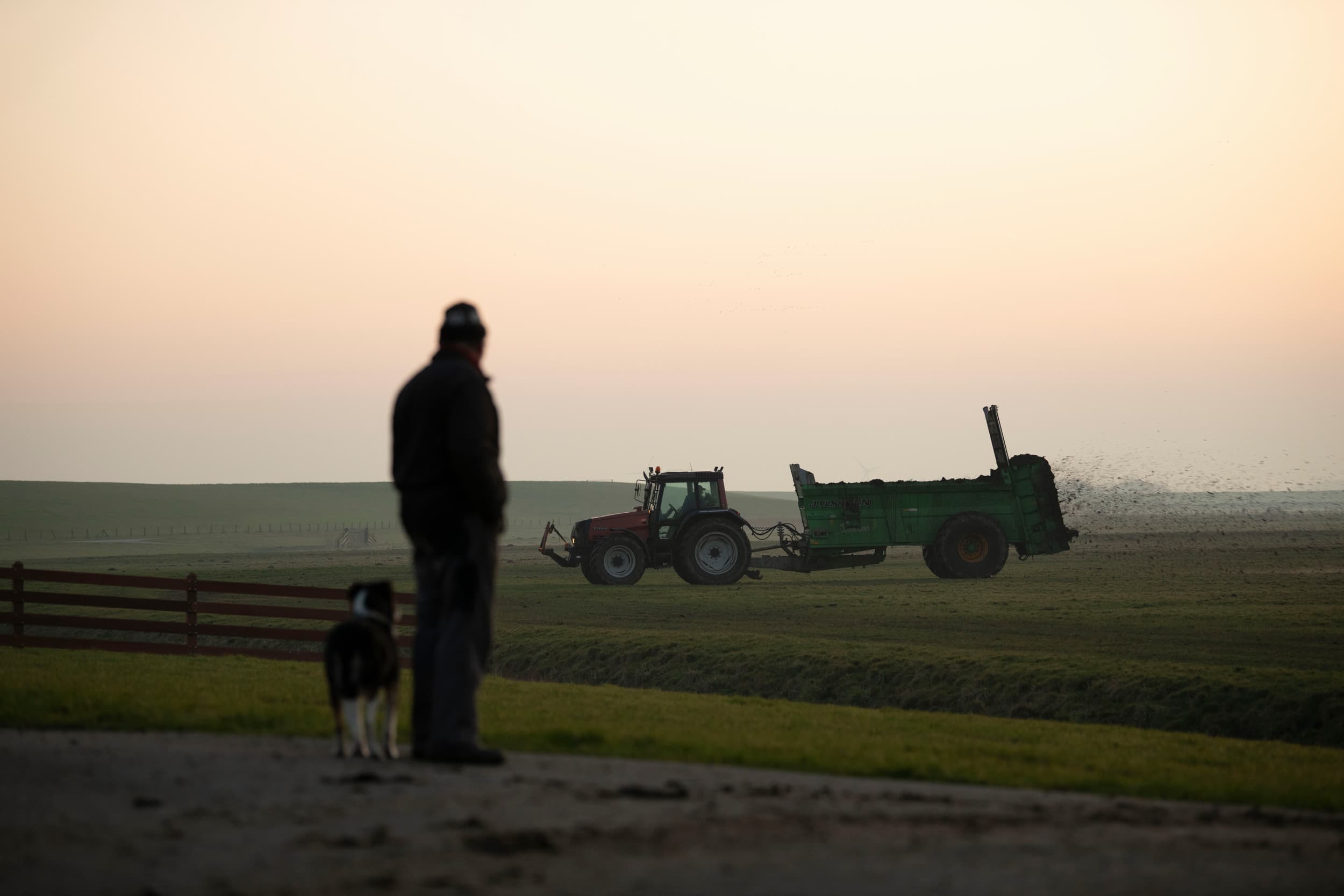 Via datingssites en apps zoeken jonge boeren naar de liefde. Maar voor oudere boeren is dat niet zo makkelijk. – Foto: Mark Pasveer