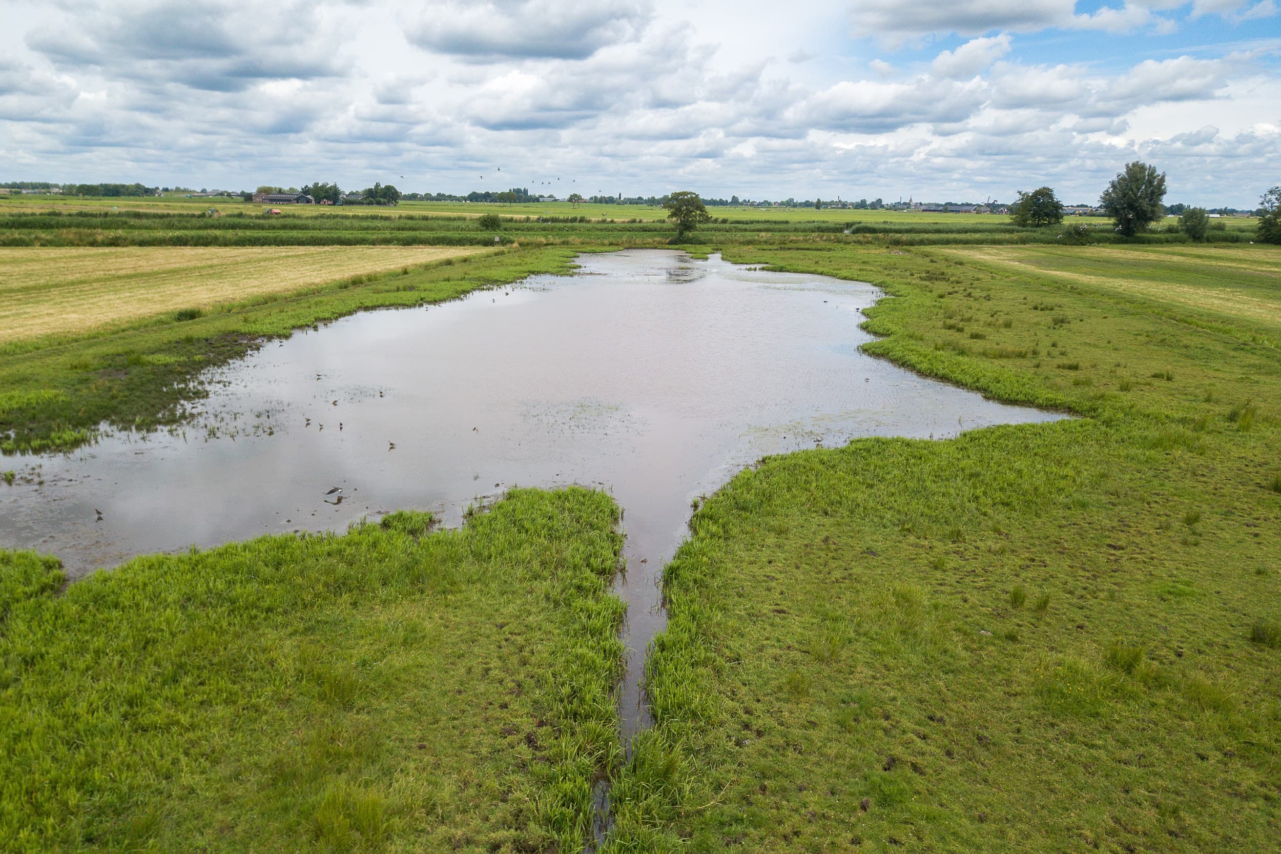 stoppersregeling stikstofgevoelige natuur