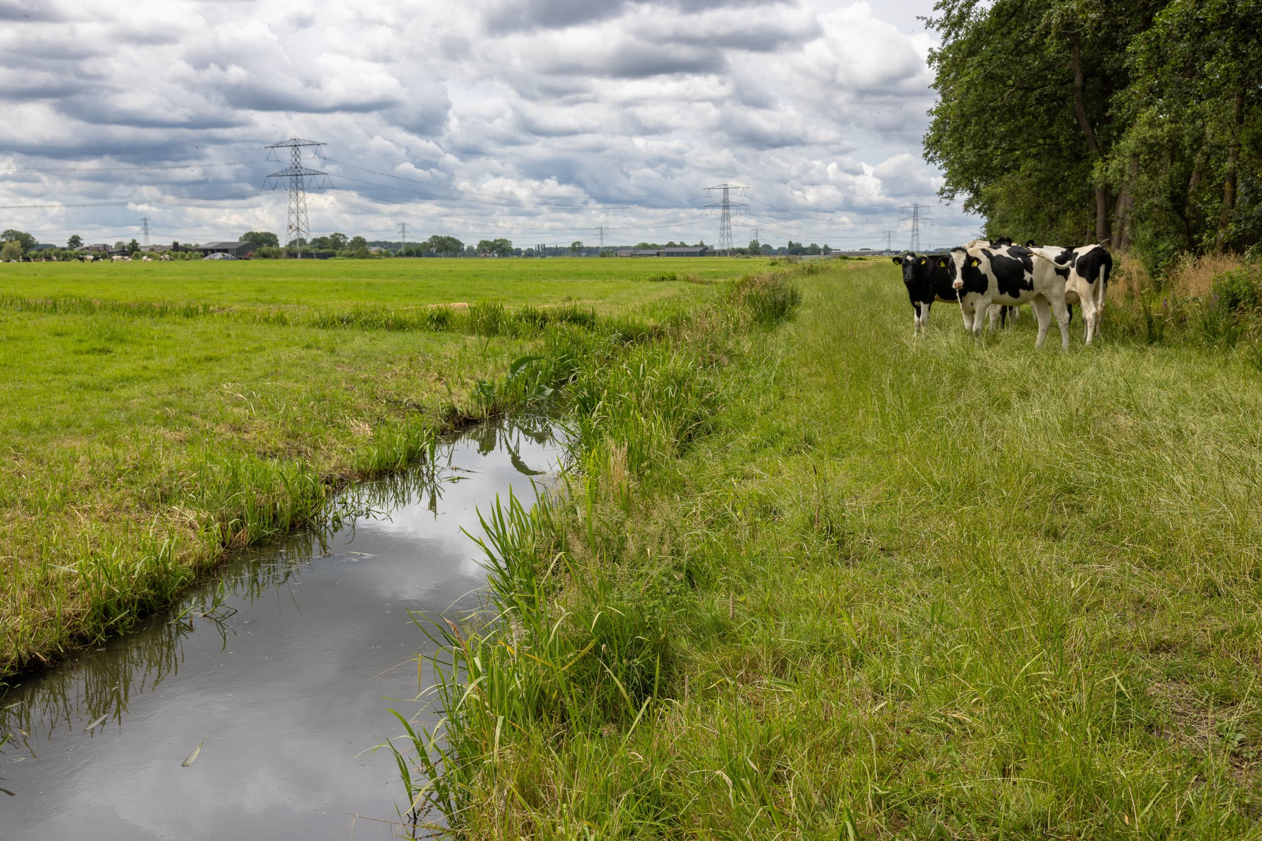 nsc wil hogere stikstofdrempel