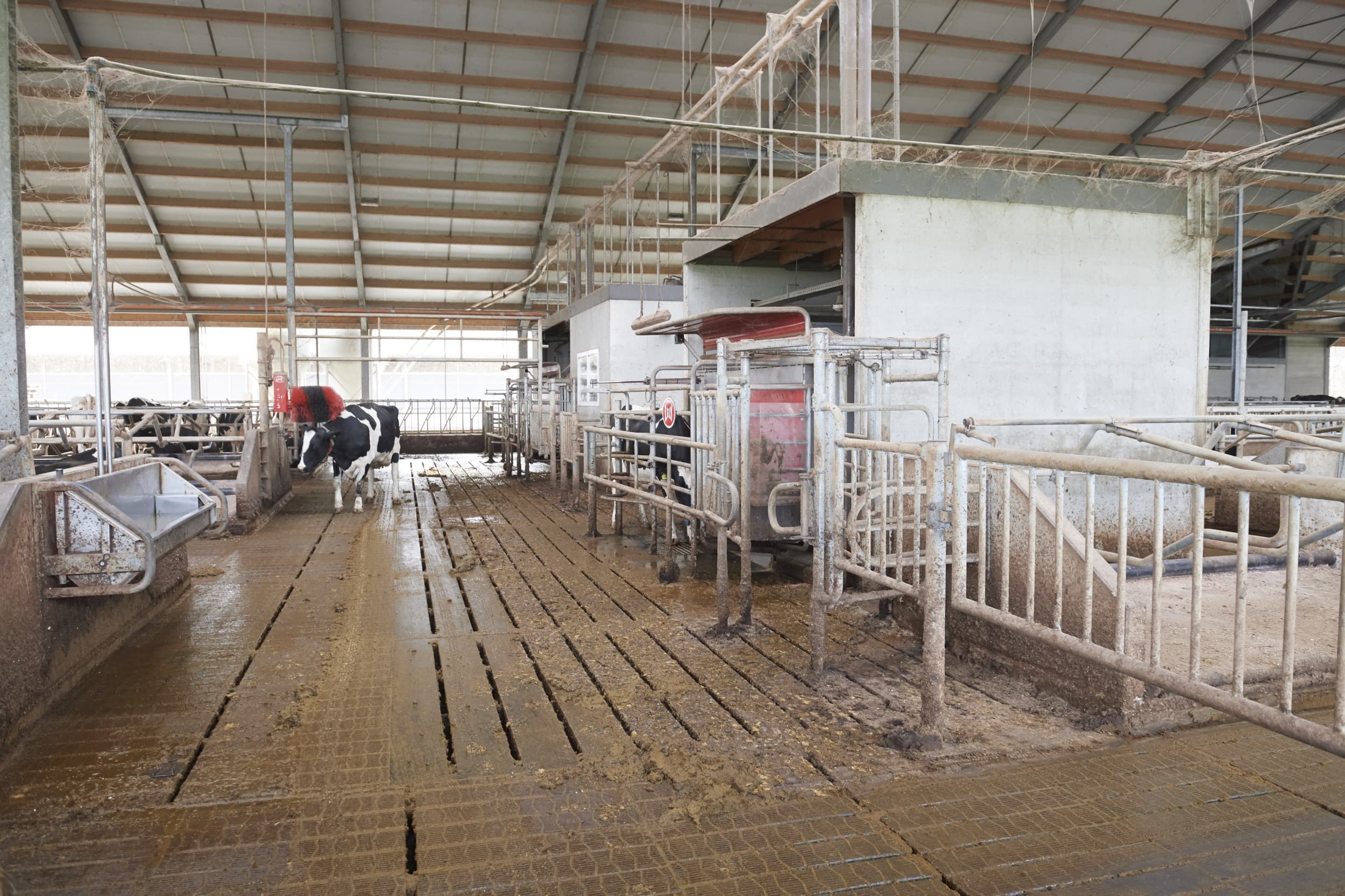stalbouw mdv