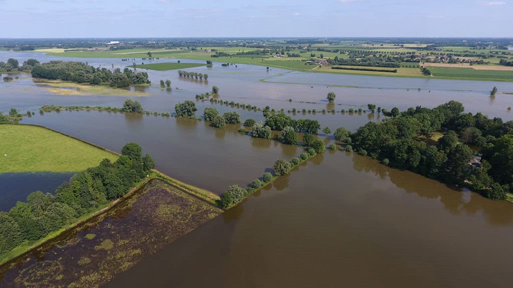 waterkwaliteit onderdruk door stikstofregels
