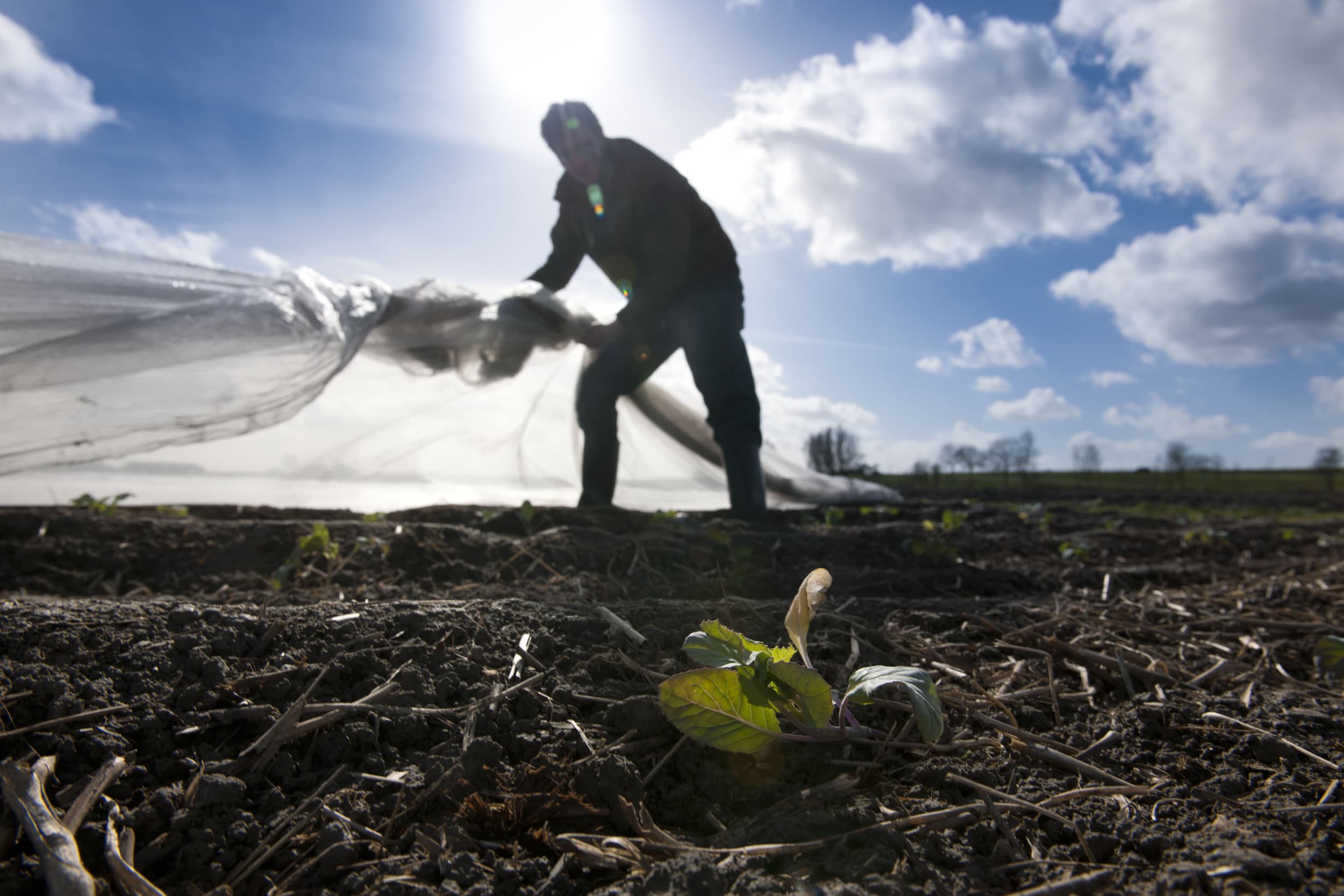 streefdoel biologisch landbouwareaal Europese Unie