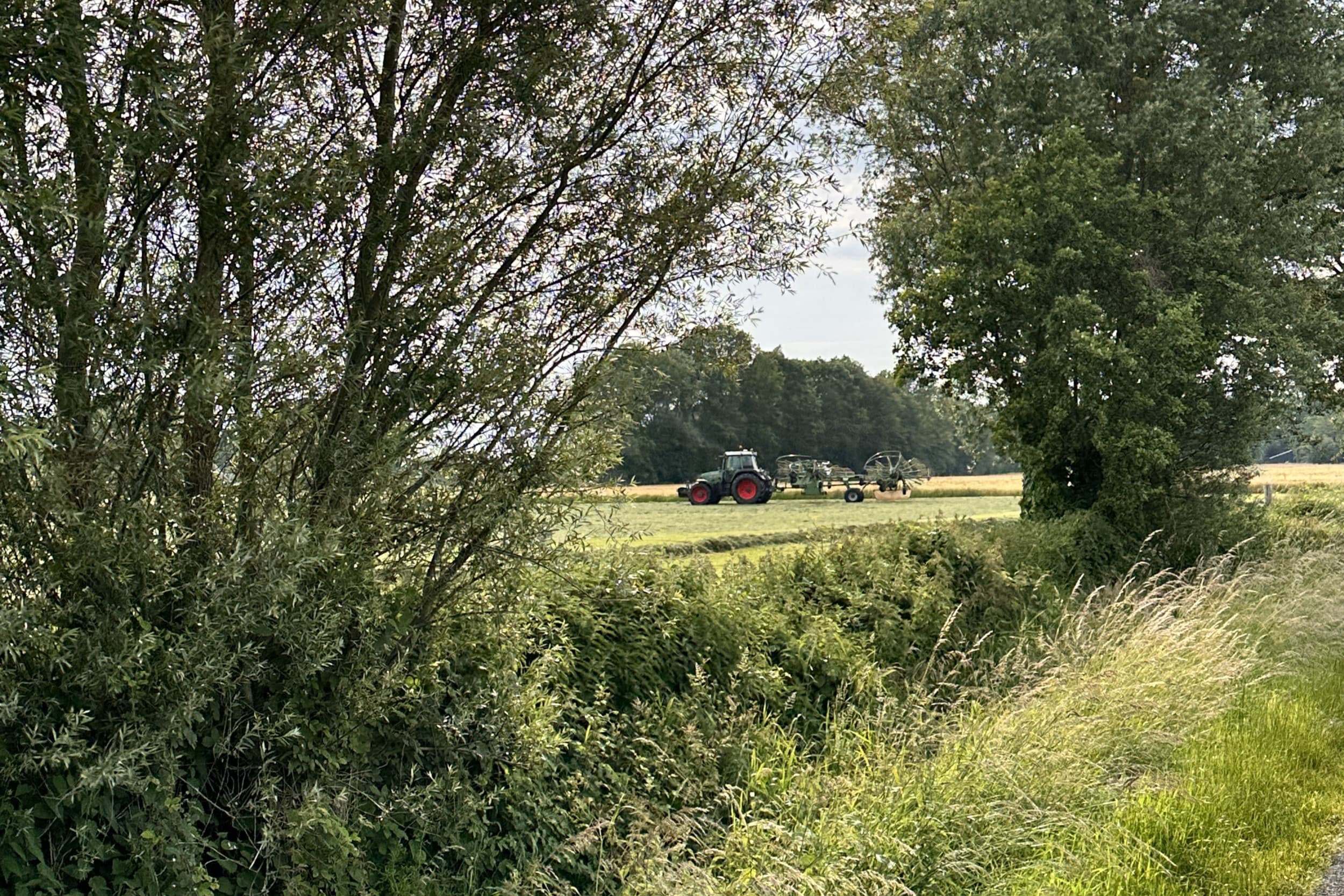 Grasland kost nu gemiddeld 31% minder dan bouwland, en het prijsverschil tussen beide soorten grond groeit de laatste jaren. – Foto: Martijn ter Horst