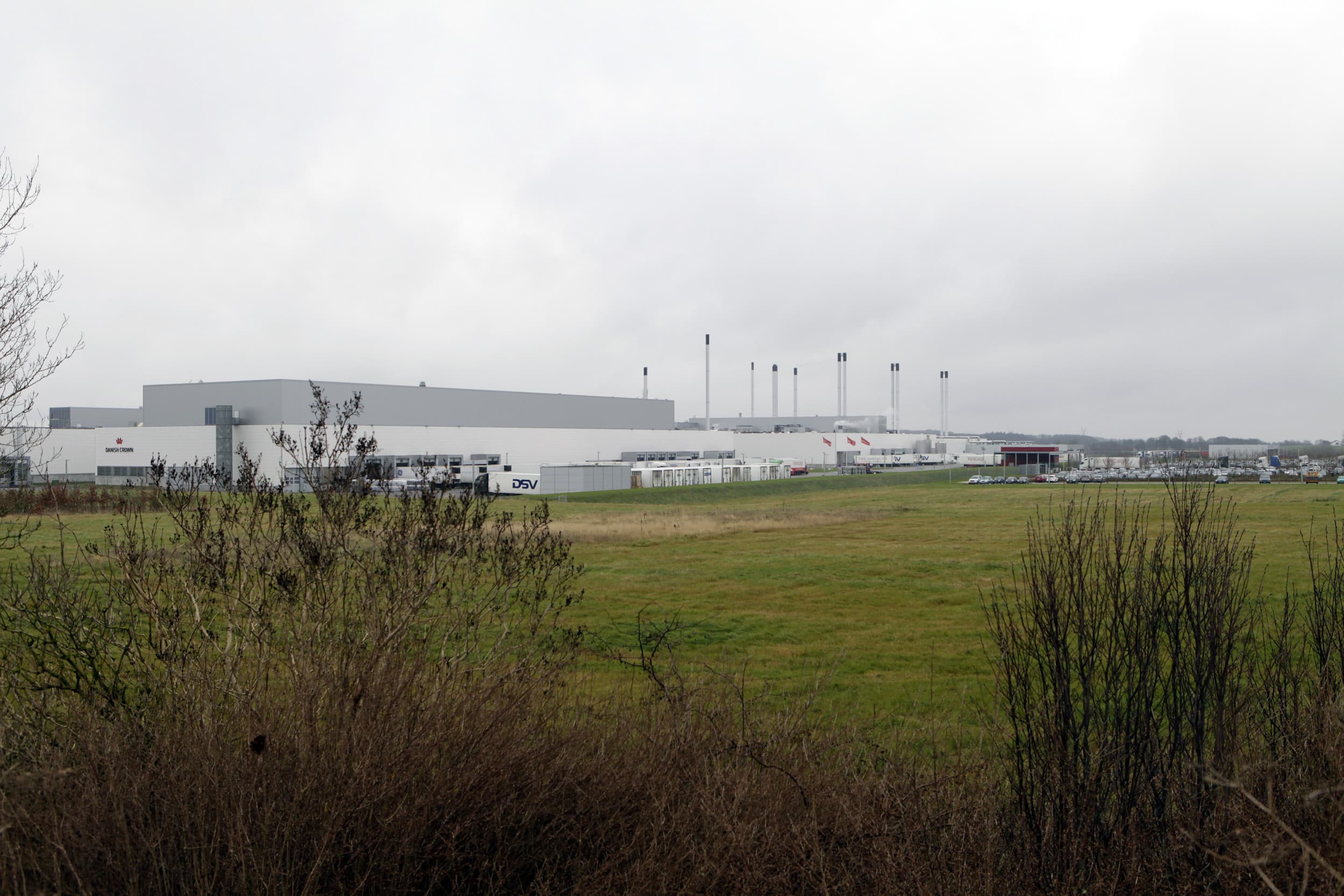 Danish Crown zoekt nieuwe CEO