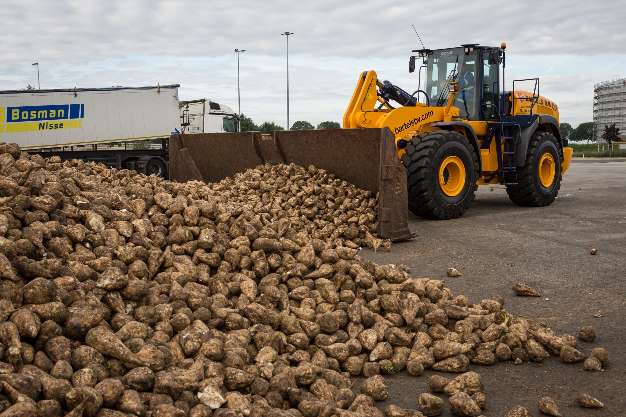 Bieten worden bij elkaar geschoven met een shovel. – Foto: Peter Roek