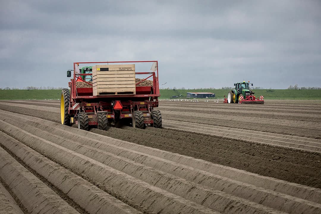 Foto: Koos Groenewold