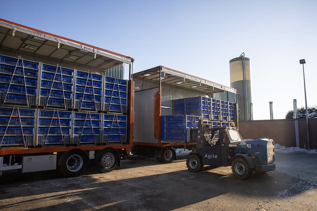 Oostvogels schat in dat zo’n 20% van de Nederlandse kuikens machinaal worden geladen.