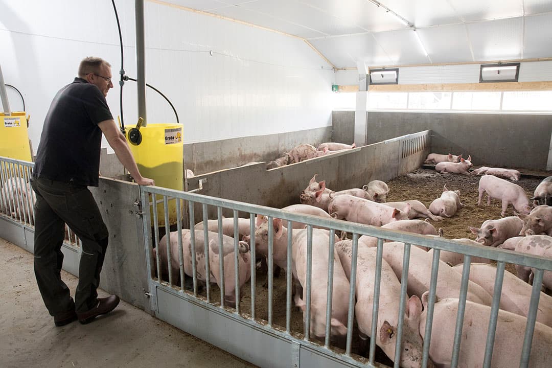 De nieuwe stal voor het Wroetvarken levert Christian, zijn vrouw en ouders veel werkplezier op. - Foto's: Koos Groenewold