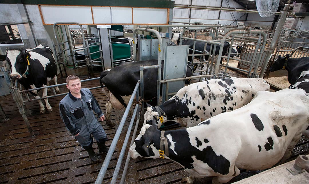 Door voorselectie realiseert Lubbers 2,8 robotbezoeken per koe per dag bij een dagproductie van 34,5 kg melk. - Foto's: Hans Banus