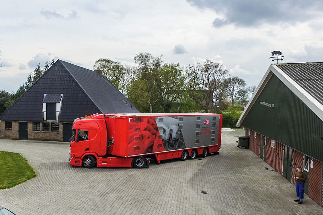 De biggen zitten op de auto en deze zet koers richting Balkbrug om daar de eerste koppel te lossen.