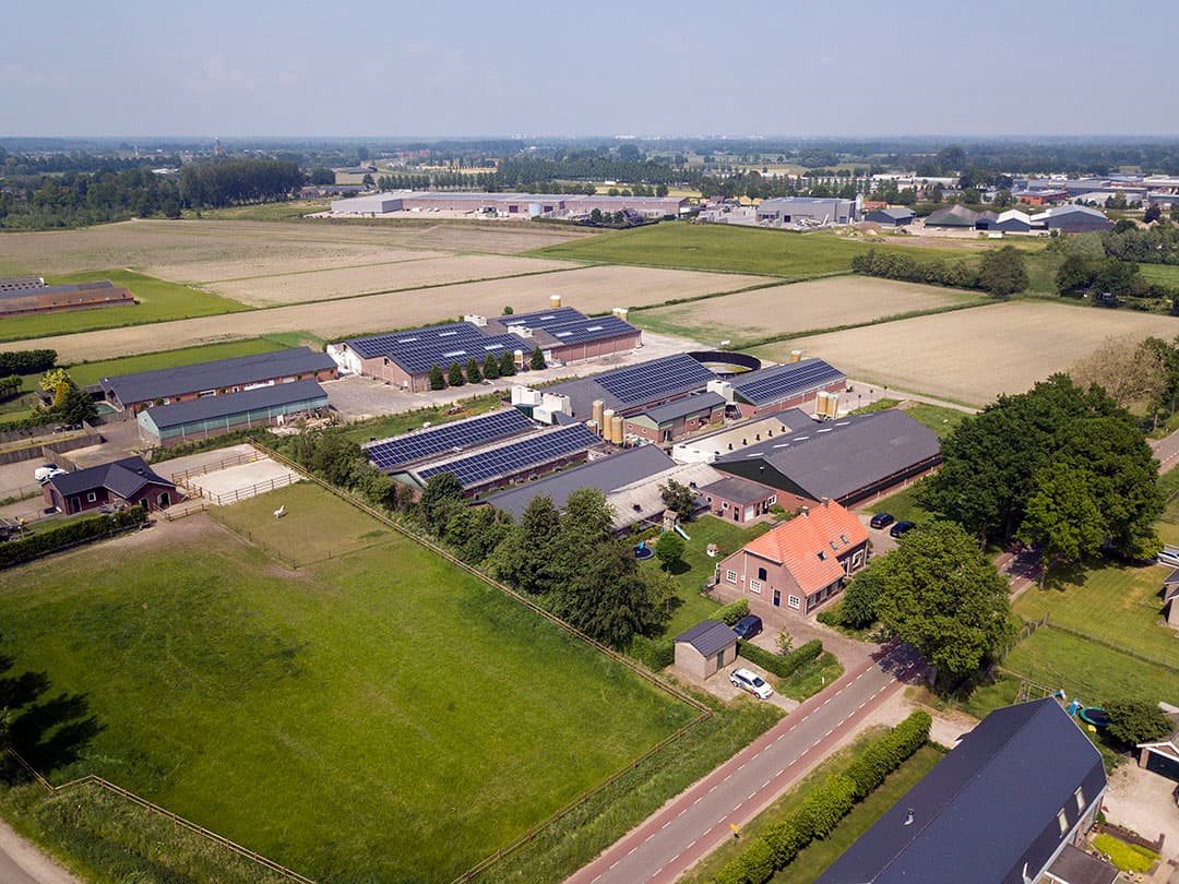 Foto: Bert Jansen