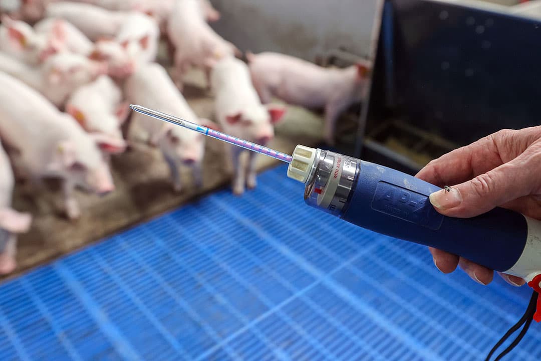 De concentraties ammoniak zijn dusdanig laag dat de meter soms geen waarde aangeeft, is de ervaring.