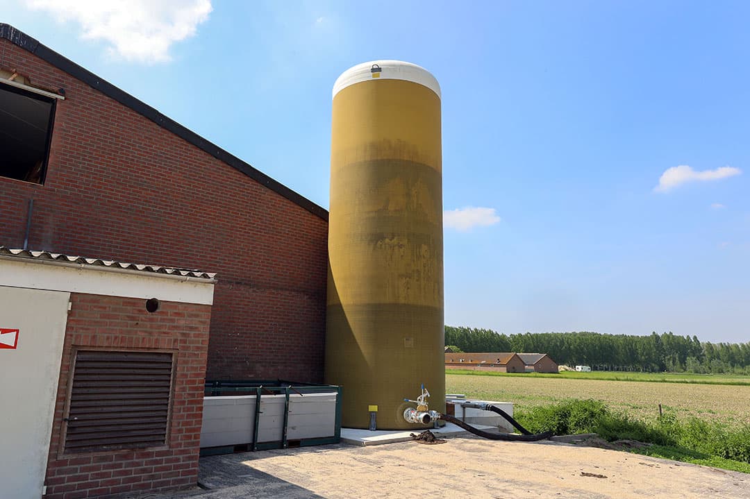 De dikke mest met 22% droge stof wordt opgeslagen in een silo voor de stal. Wekelijks wordt deze geleegd.