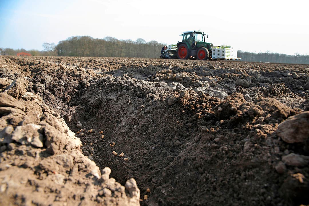 Met RTK-gps worden bio-mestkorrels in de rij gelegd. Exact daarover heen wordt later de kool geplant. - Foto's: Hans Prinsen