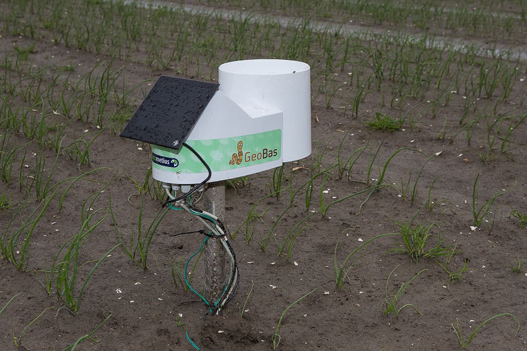 Vochtsensor in de uien. Een nieuwe type meet ook de relatieve vochtigheid in het gewas