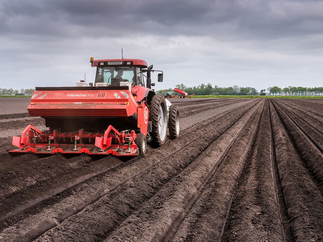 Maatschap Steenge heeft dit jaar pootaardappelen variabel gepoot op een proefperceel. De maten willen graag weten of nauwer poten meer opbrengst geeft. - Foto's: Jan Willem van Vliet