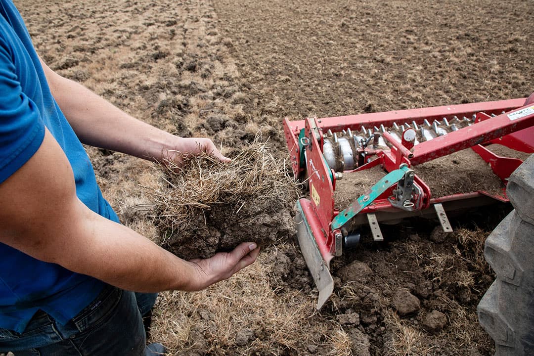 Zaaibed maken met de rotorkopeg op 2 september. Eerder is de zode al gefreesd, ging er een woelpoot door de bodem en is de grond met cultivator losgemaakt. Gezien de droogte was ploegen van de rivierkleigrond geen optie. - Foto: Herbert Wiggerman