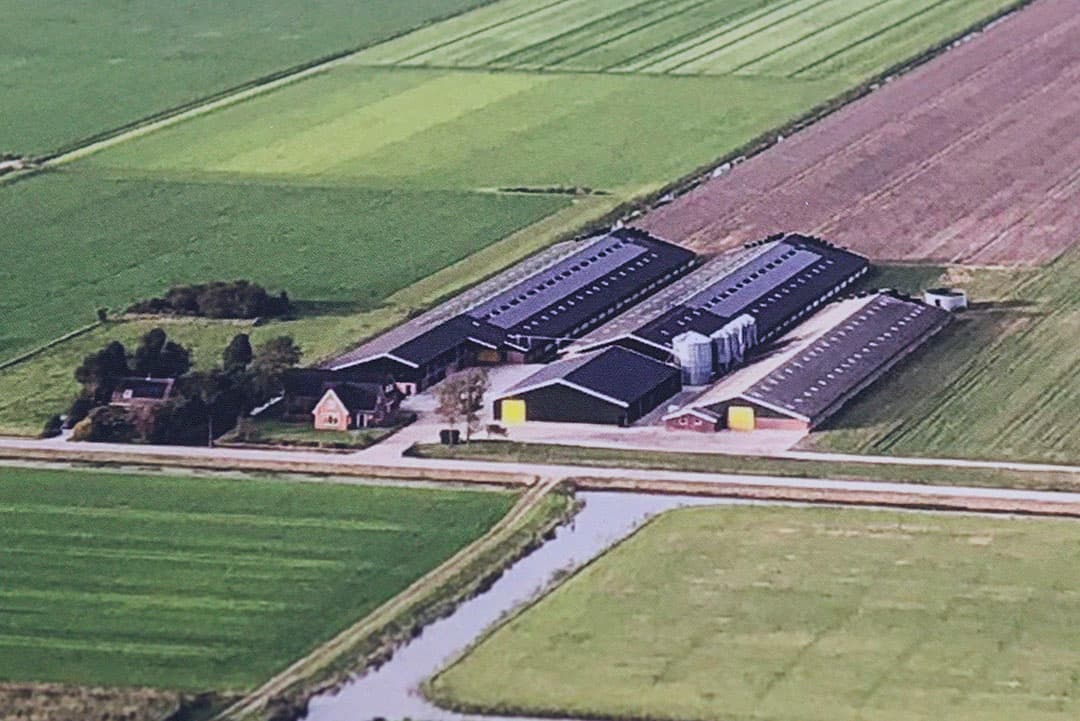 Luchtfoto (archief) van het vleeskuikenbedrijf van Kostelijk in Grootschermer. - Foto's: Lex Salverda