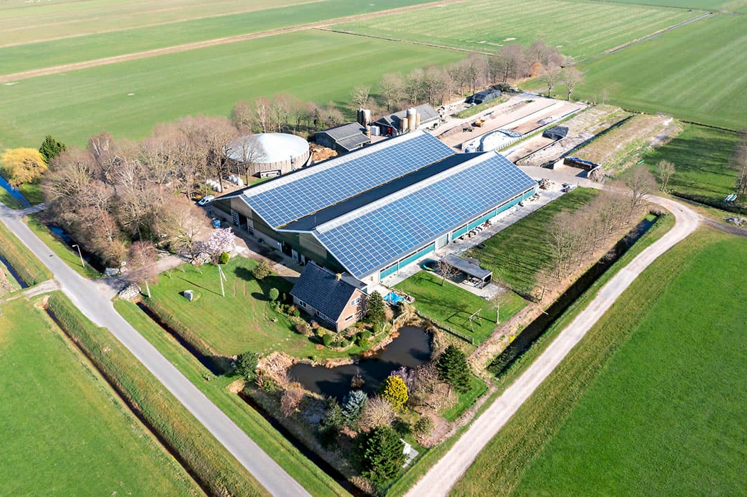 Melkveebedrijf Mulder in Nieuwehorne.