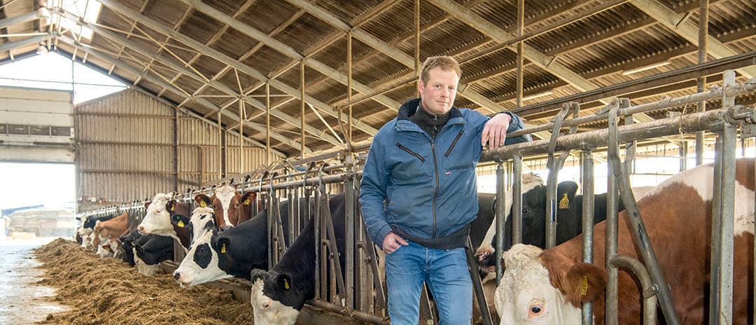In maatschap met zijn ouders melkt René Staal een bont gezelschap aan koeien. - Foto: Cor Salverius
