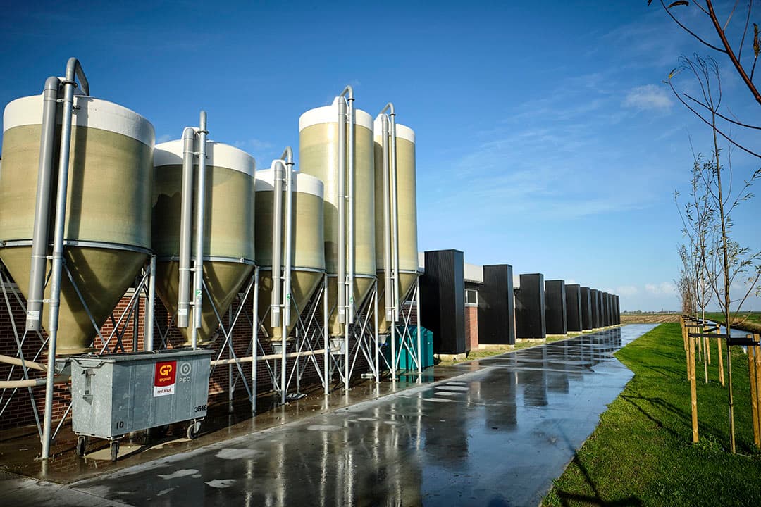 De zijkant van de stal met de kraamzeugen en biggen. Achteraan de zelfbedachte inlaatconstructie om windinvloeden maximaal te beperken.