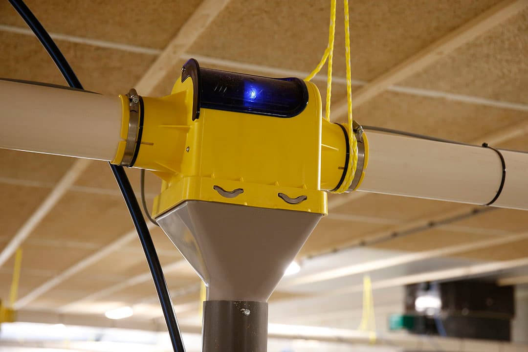 De voerleidingen en voerventielen zijn nieuw aangeschaft en aangesloten op de bestaande stal. Kraaijenbrink koos voor plafondventilatie met houtvezelcementplaten.