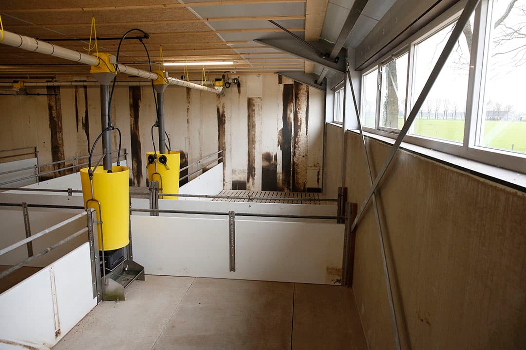 Daglicht over de gehele lengte van de stal geeft een helder zicht in de stal. De tweedehands kunststof wanden zijn verkleurd, maar schoon en goed herbruikbaar.