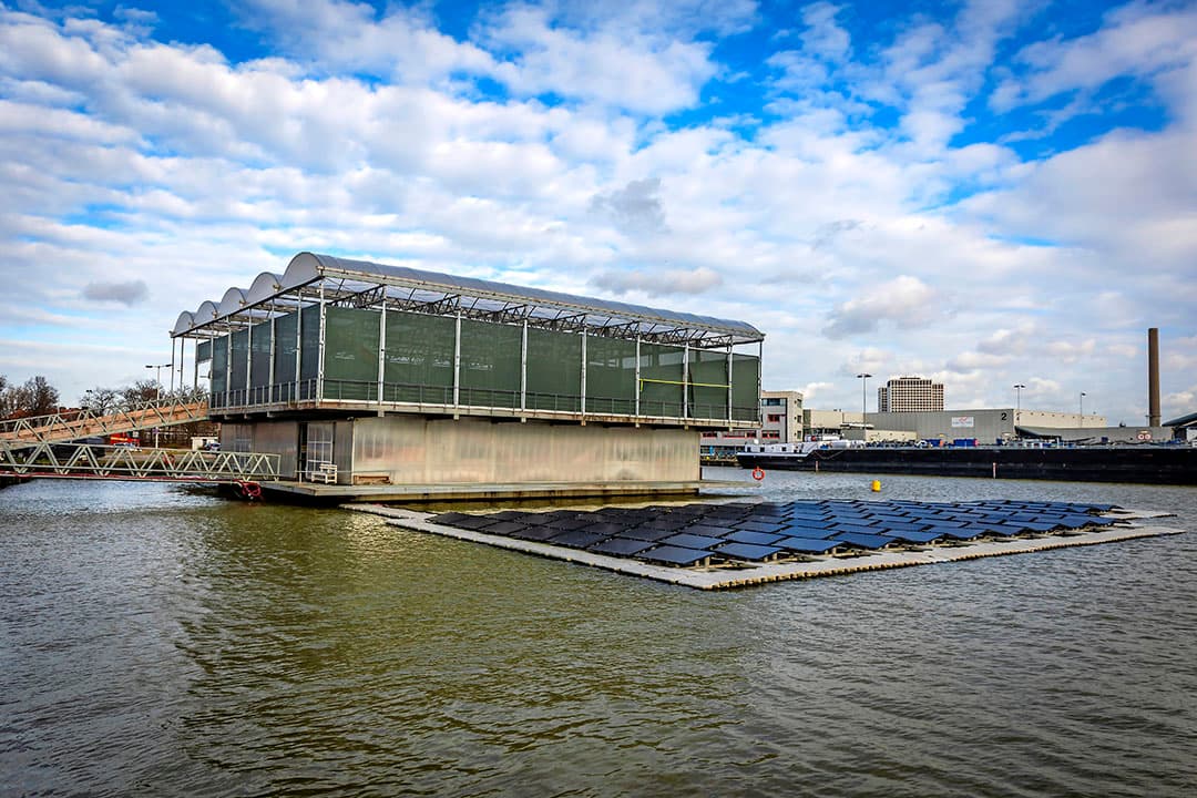 Een drijvend dek met zonnepanelen draagt bij aan de elektriciteitsvoorziening van deze Floating Farm. - Foto's: Roel Dijkstra