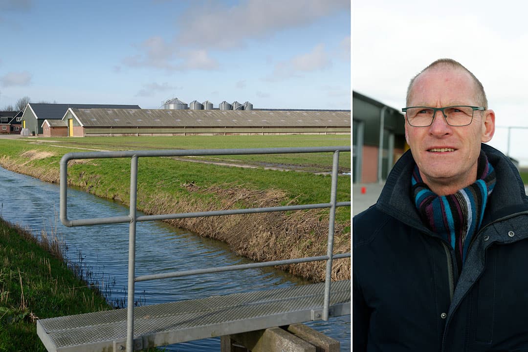 Op 30 oktober 2021 worden de 107.000 aanwezige vleeskuikens geruimd op het bedrijf van Karel Kostelijk in Grootschermer (N.-H.). Nog geen drie maanden later gebeurt datzelfde met de 170.000 aanwezige kuikens. - Foto's: Lex Salverda