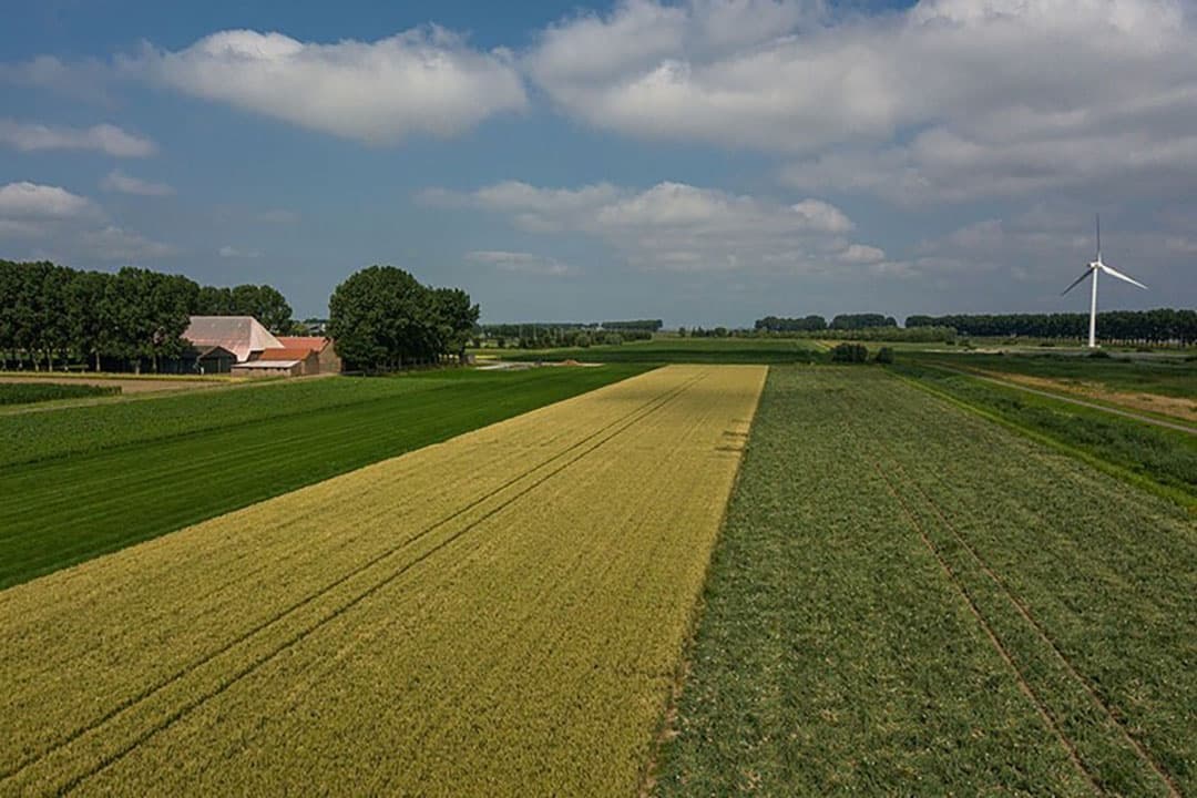 De Proeftuin van Pallandtpolder omvat 70 hectare poldergrond in Middelharnis. - Foto: Peter Roek