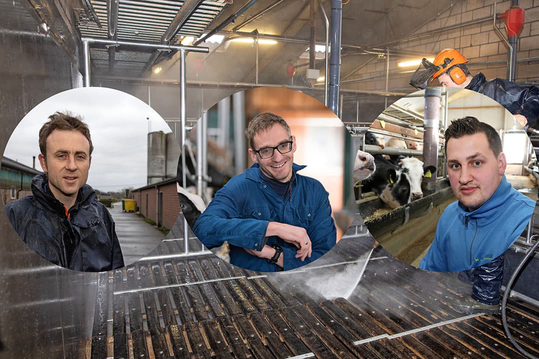 Kalverhouders Kris van de Perre (l), Piet Wisse (midden) en Evert Verwoert. -  Foto's: Henk Riswick, Peter Roek en Mark Pasveer, bewerking Misset