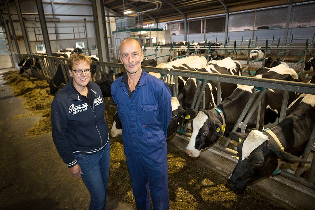 Nico (57) en Wilma (52) runnen samen met hun kinderen een gemengd bedrijf met vleesvarkens met 1 ster Beter Leven en ruim 50 melkkoeien. - Fotos: Koos Groenewold