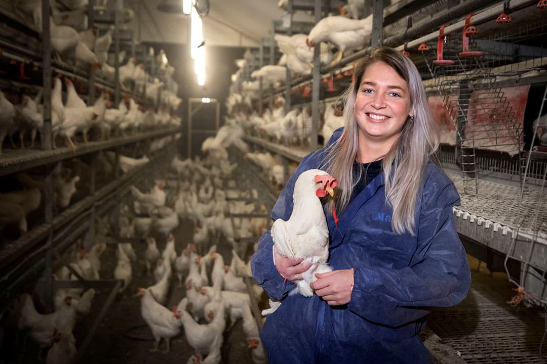 Marije Overgaauw: “Het medeleven van klanten en vanuit de pluimveesector was hartverwarmend. Het hele kantoor stond in de week na de ruiming vol met bloemen.” - Foto's: Koos Groenewold