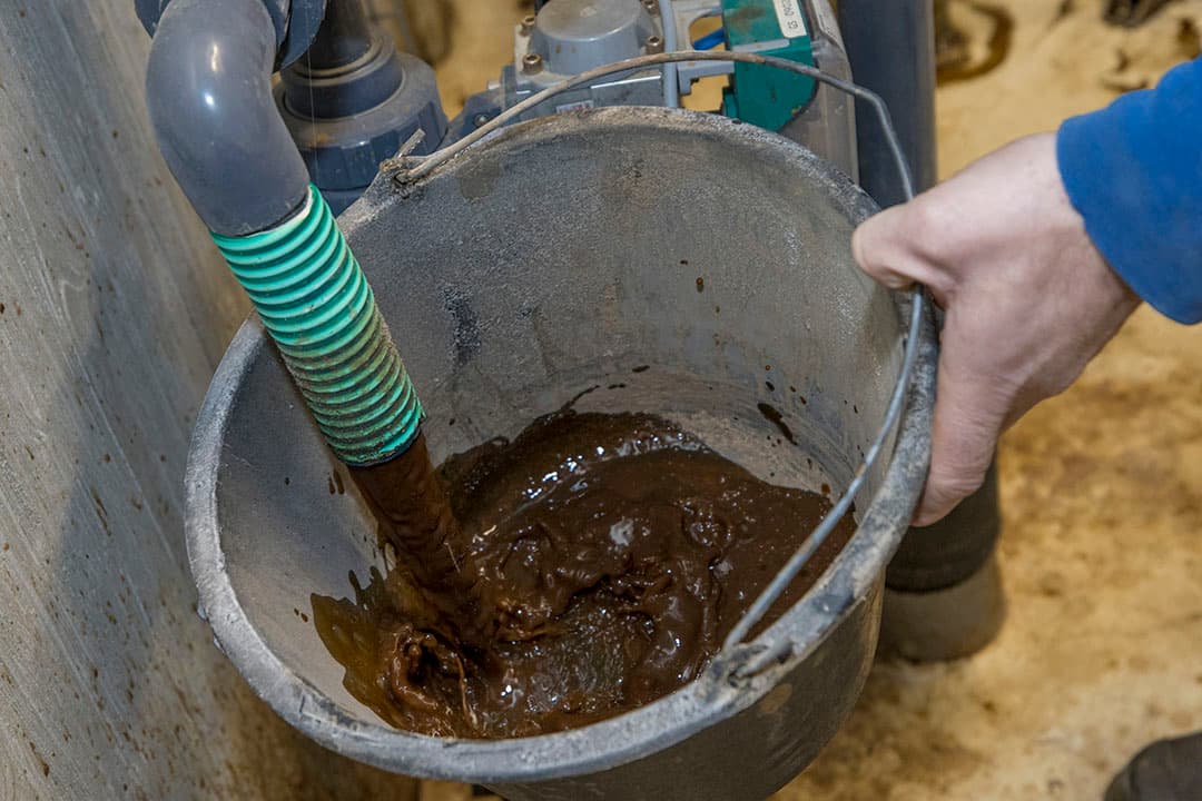Het loosbare water heeft een bruine kleur. Die wordt veroorzaakt door de aanwezige humuszuren in de vloeistof. - Foto's: Koos Groenewold