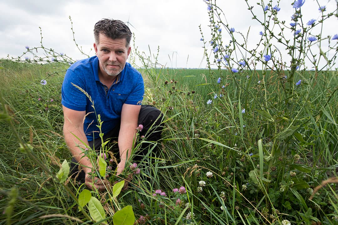 Akkerbouwer Peter Nieboer zit in een studiegroep onkruidbeheersing. Vooral in het eerste jaar dat een uitdaging op de onkruidrijke Veenkoloniale grond. - Foto: Hans Banus