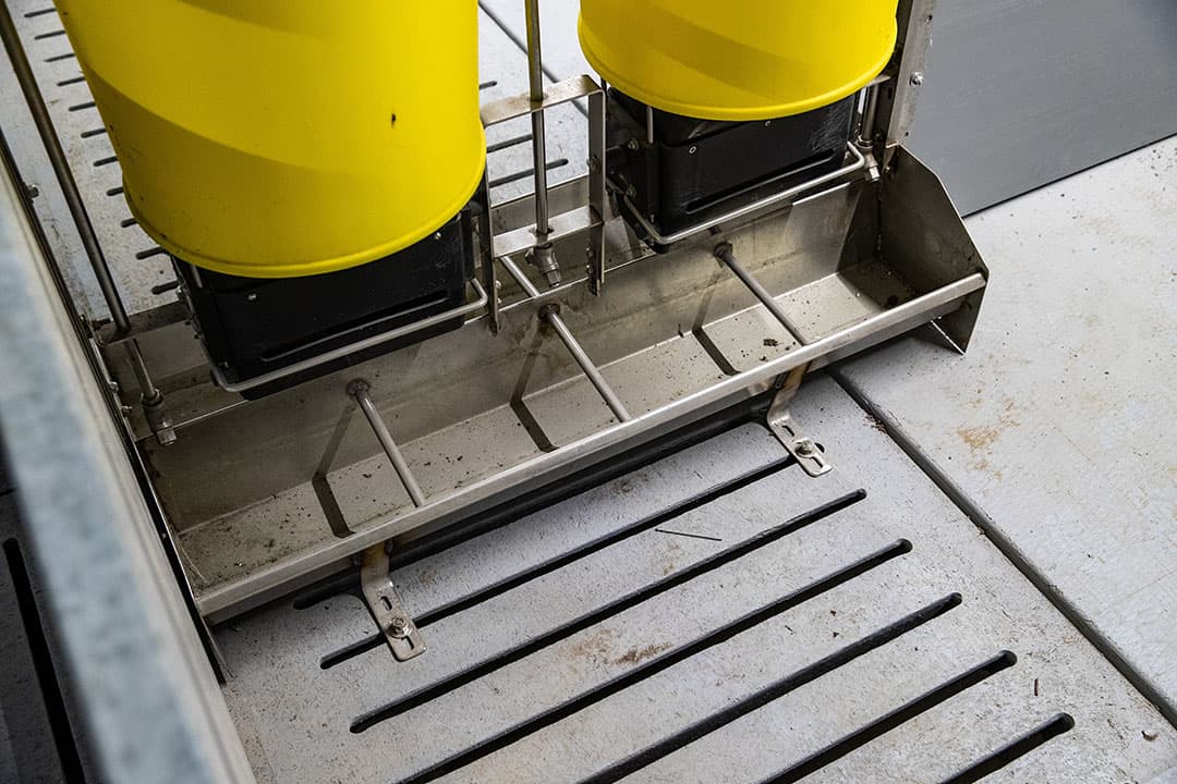De dubbele voerbakken voorkomen dat ranghogere gelten andere dieren uitsluiten.