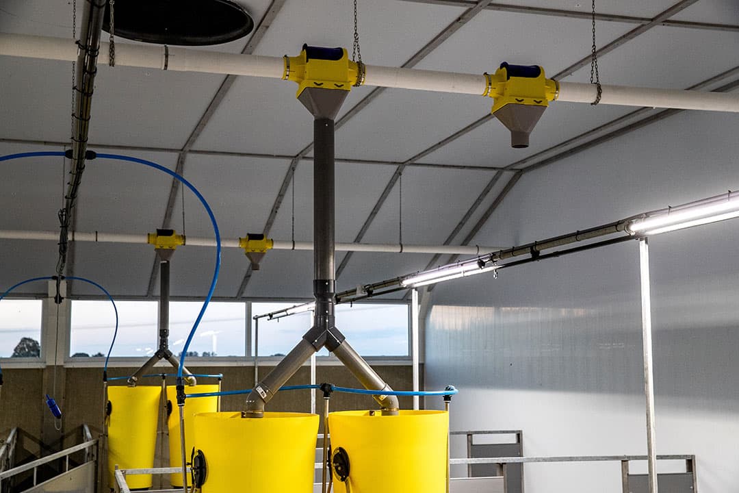 Grote ramen en 5 Led-lampen per 6 hokken zorgen voor veel licht in de afdeling.