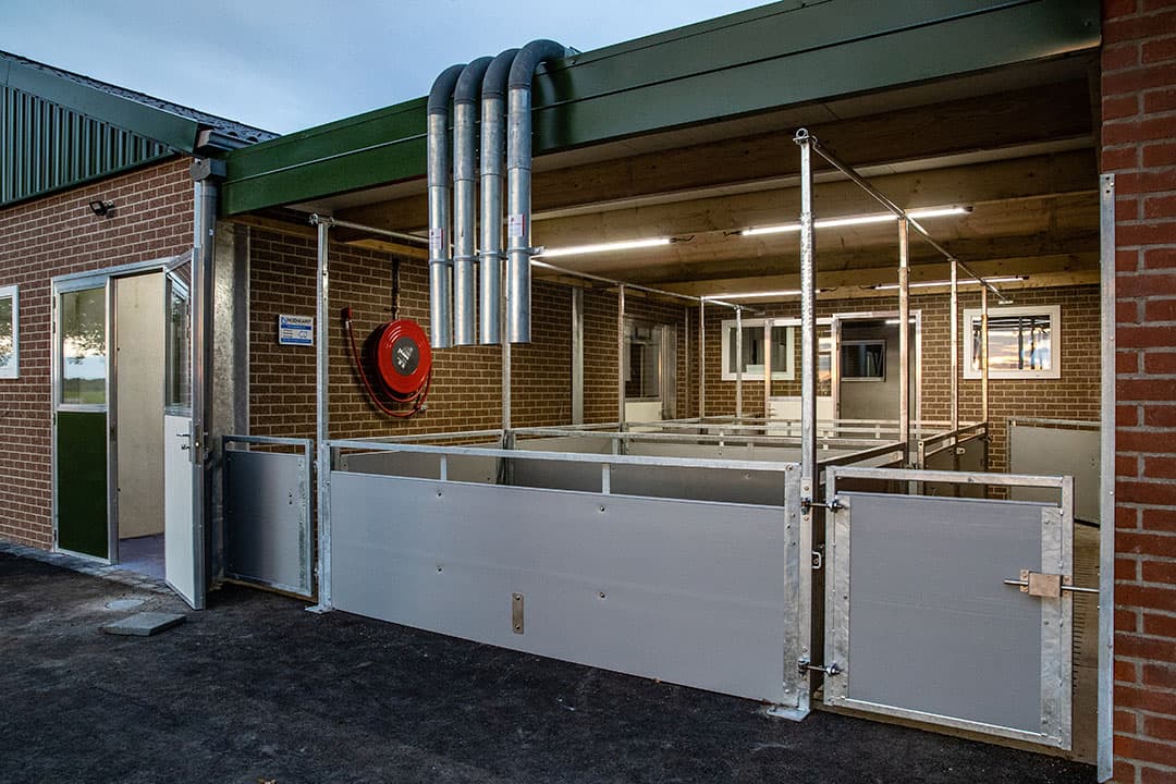 Tussen de stallen is een laadplatvorm gebouwd. Met looppaden aan beide zijden wil Wilko in alle rust de gelten kunnen laden.