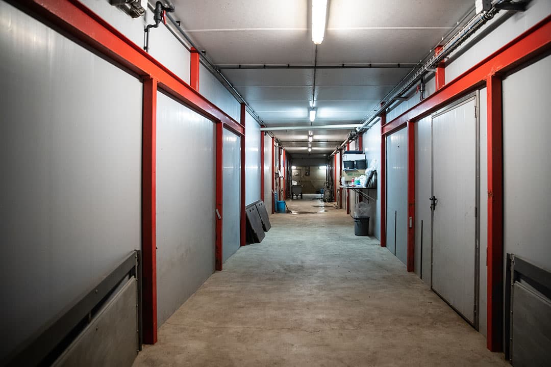 In de stallen en de centrale gang is het schoon en opgeruimd, maar dit moet nog beter, vindt Koobs.