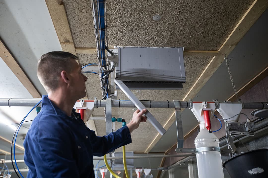 De inkomende lucht in de kraamstal wordt zodanig gestuurd dat deze niet bij de biggen komt.
