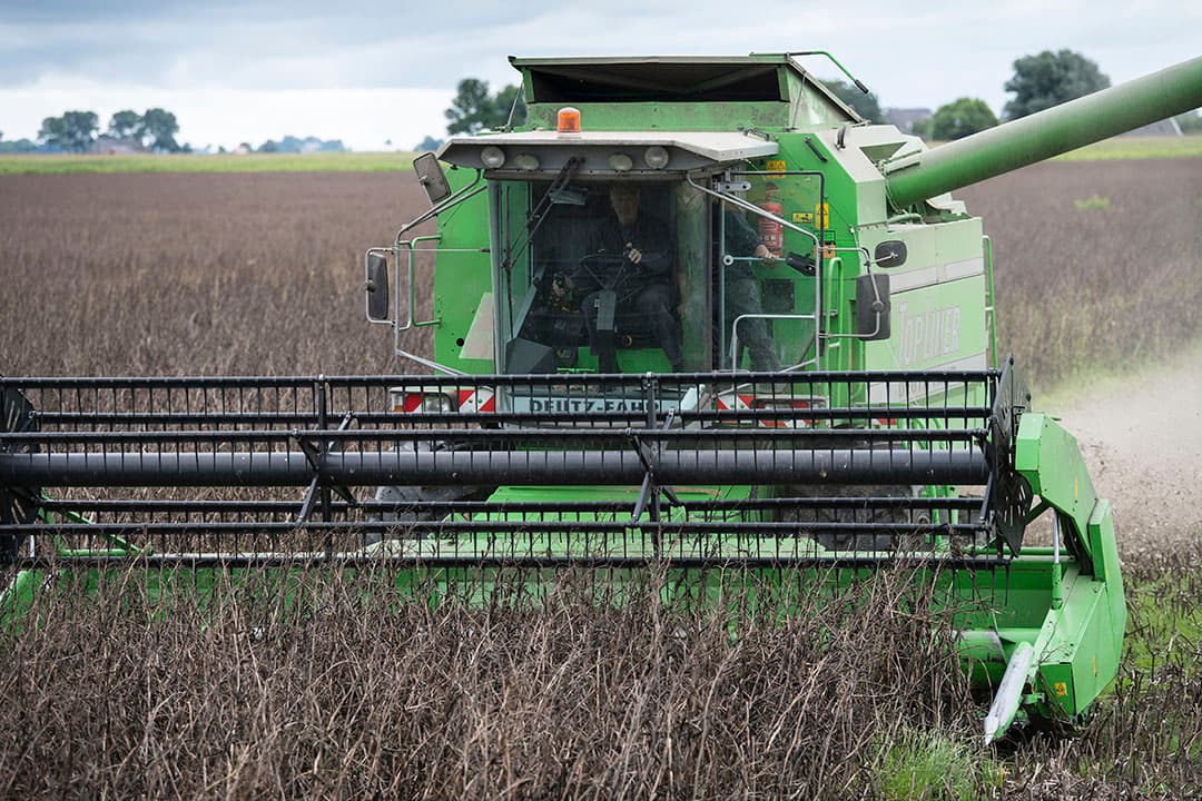 Jacob Grijpma oogstte op 30 juli de winterveldbonen. De opbrengst van zomerveldbonen was met 7 ton bonen/ha hoger. - Foto's: Mark Pasveer