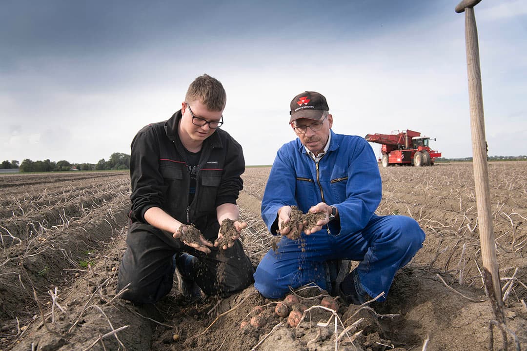 Reinder en Albert Hogenhout laten op een aardappelperceel zien wat gips doet op de structuur van de oude zeeklei. - Foto's: Mark Pasveer
