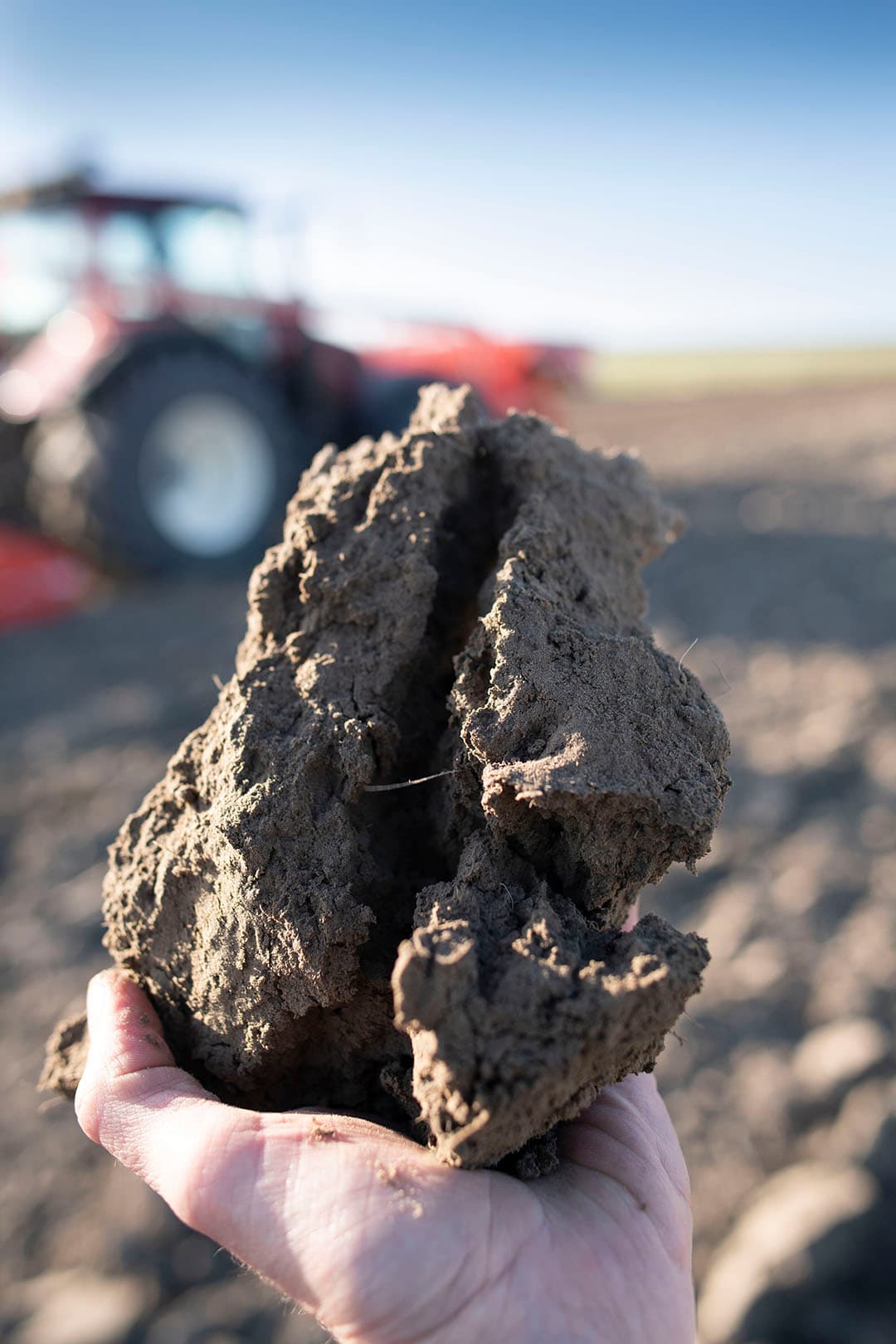 Een kluit Friese klei. Deze grond is in het voorjaar geploegd en nu mooi opgedroogd. De structuur van deze grond is goed waardoor deze bij het zaaien van zomergerst mooi uit elkaar valt. De ondergrond is nog vochtig genoeg om het zaad te laten kiemen. - Foto: Mark Pasveer