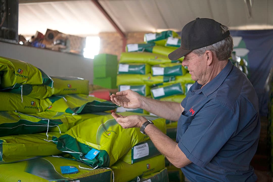 Nog geen 20% van de Zuid-Afrikaanse akkerbouwers gebruikt groenbemesters.
