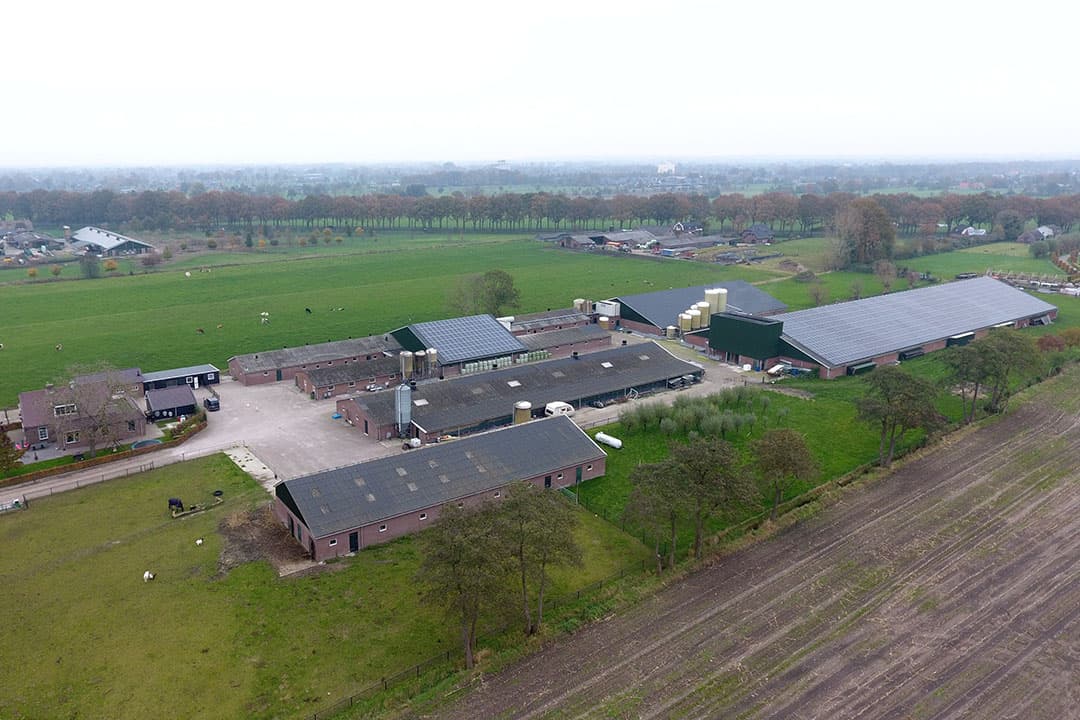 Foto's: Henk Riswick