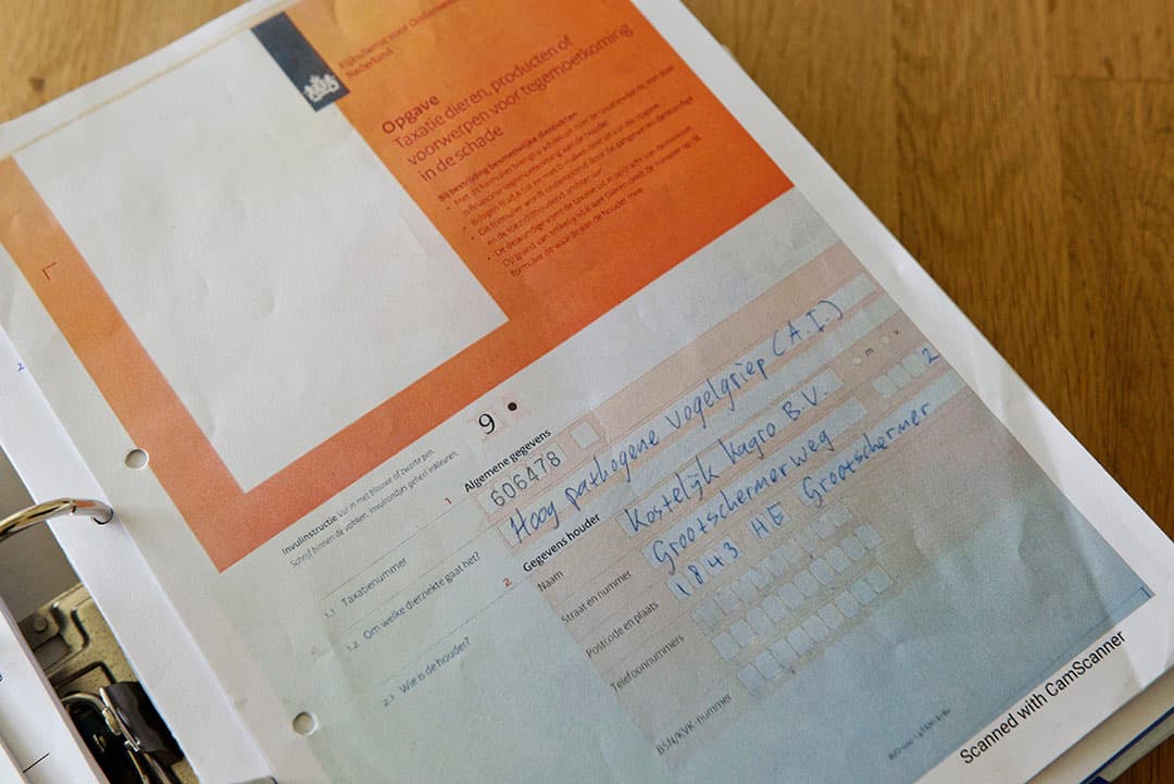 De pluimveehouder krijgt de dagwaarde van de vleeskuikens vergoed, maar de besmettingen kosten hem ‘bakken met geld’.